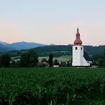 Moderne So Saunou Na Liptovskom Vidieku *