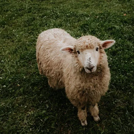 Moderné So Saunou Na Liptovskom Vidieku Apartamento