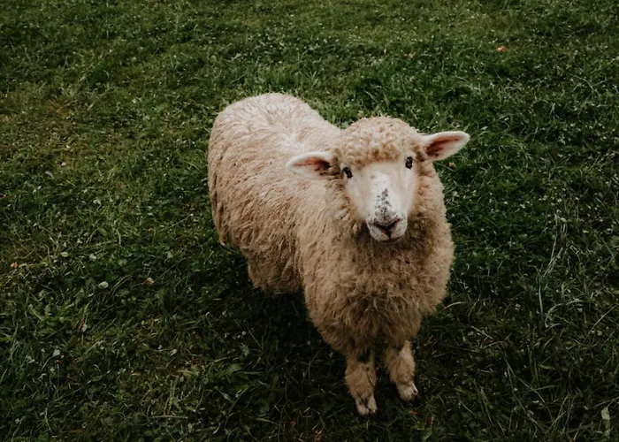 Moderne So Saunou Na Liptovskom Vidieku Lejlighed